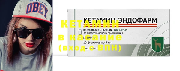 стаф Богданович