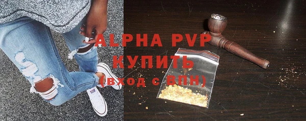 стаф Богданович