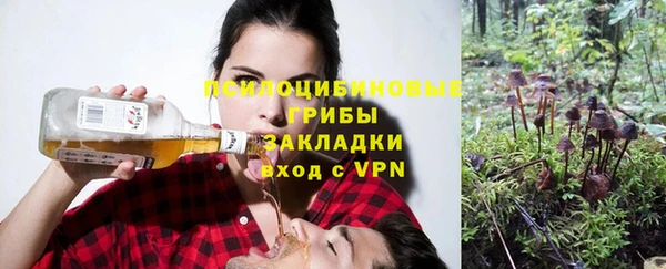 сатива Белокуриха