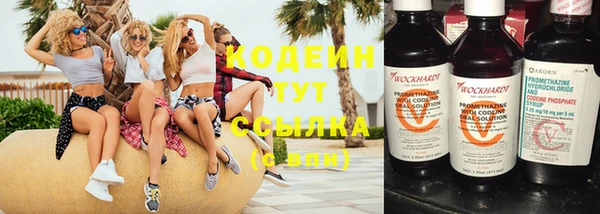сатива Белокуриха
