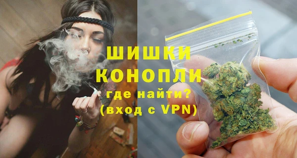 сатива Белокуриха