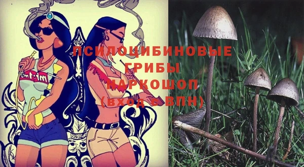 сатива Белокуриха